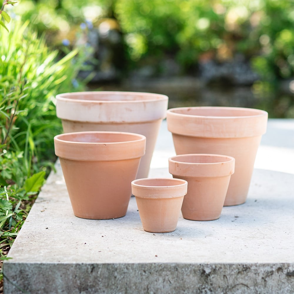 Product options image