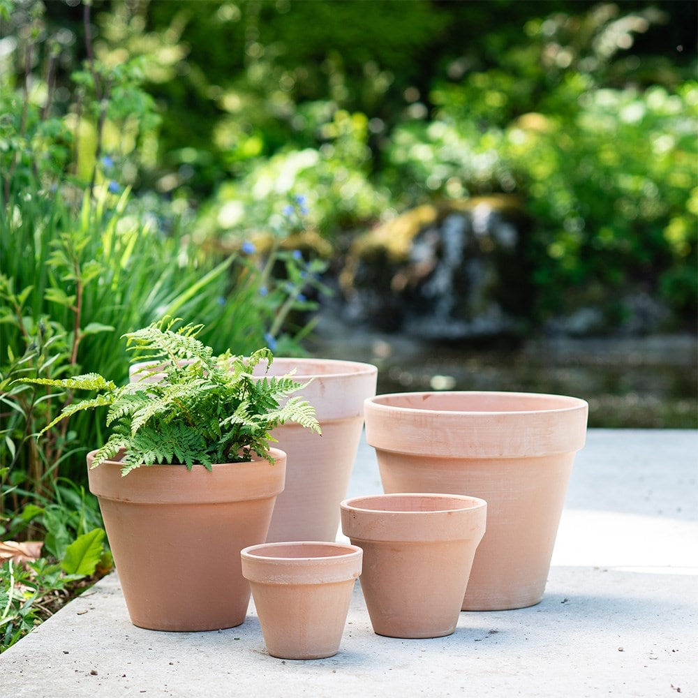 Classic Italian terracotta pot whitewash