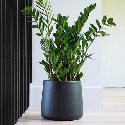 Akemi planter carbon black