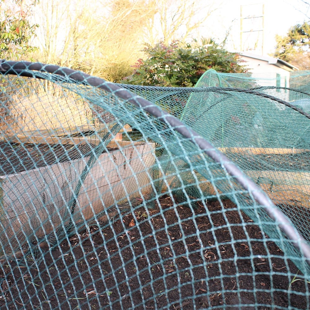 Green bird netting