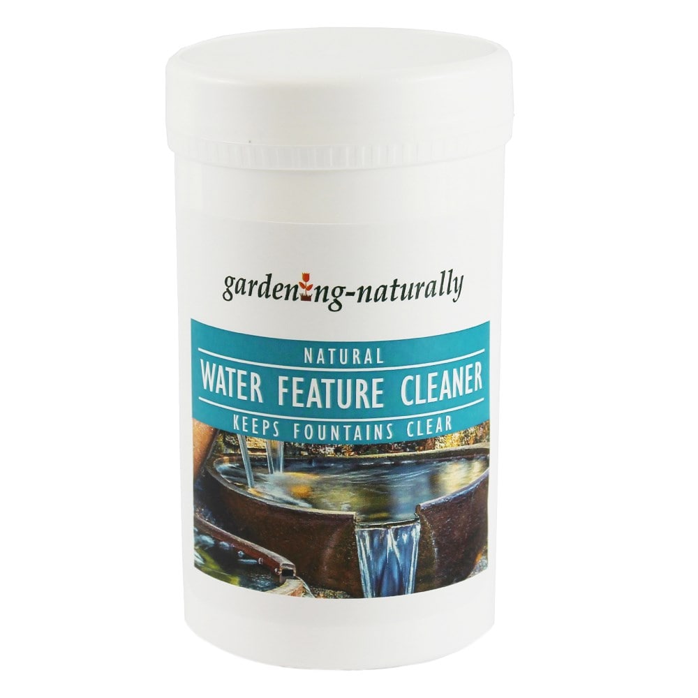 Natural water feature cleaner