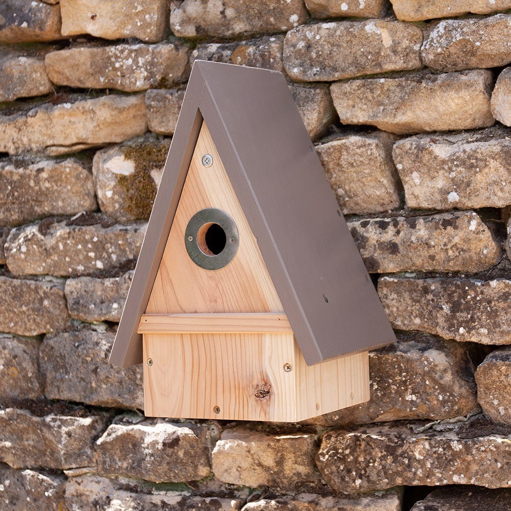 buy bird boxes