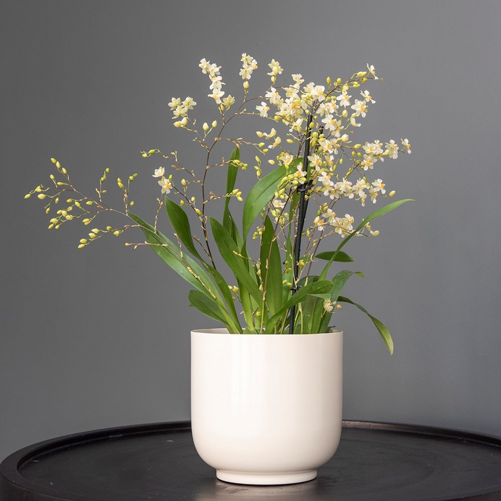 Off white metal pot cover with enamel interior
