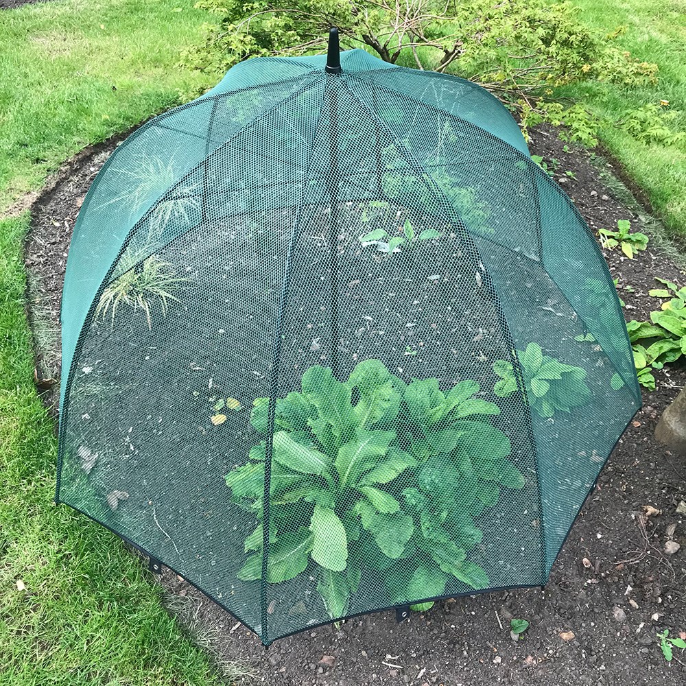 Plant protection umbrella