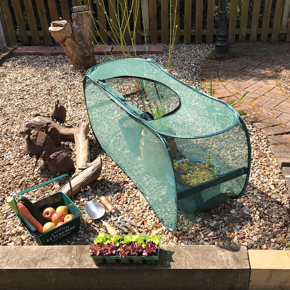 Product options image