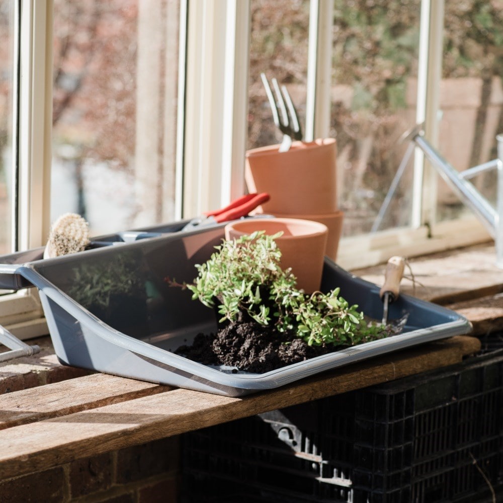 Product options image