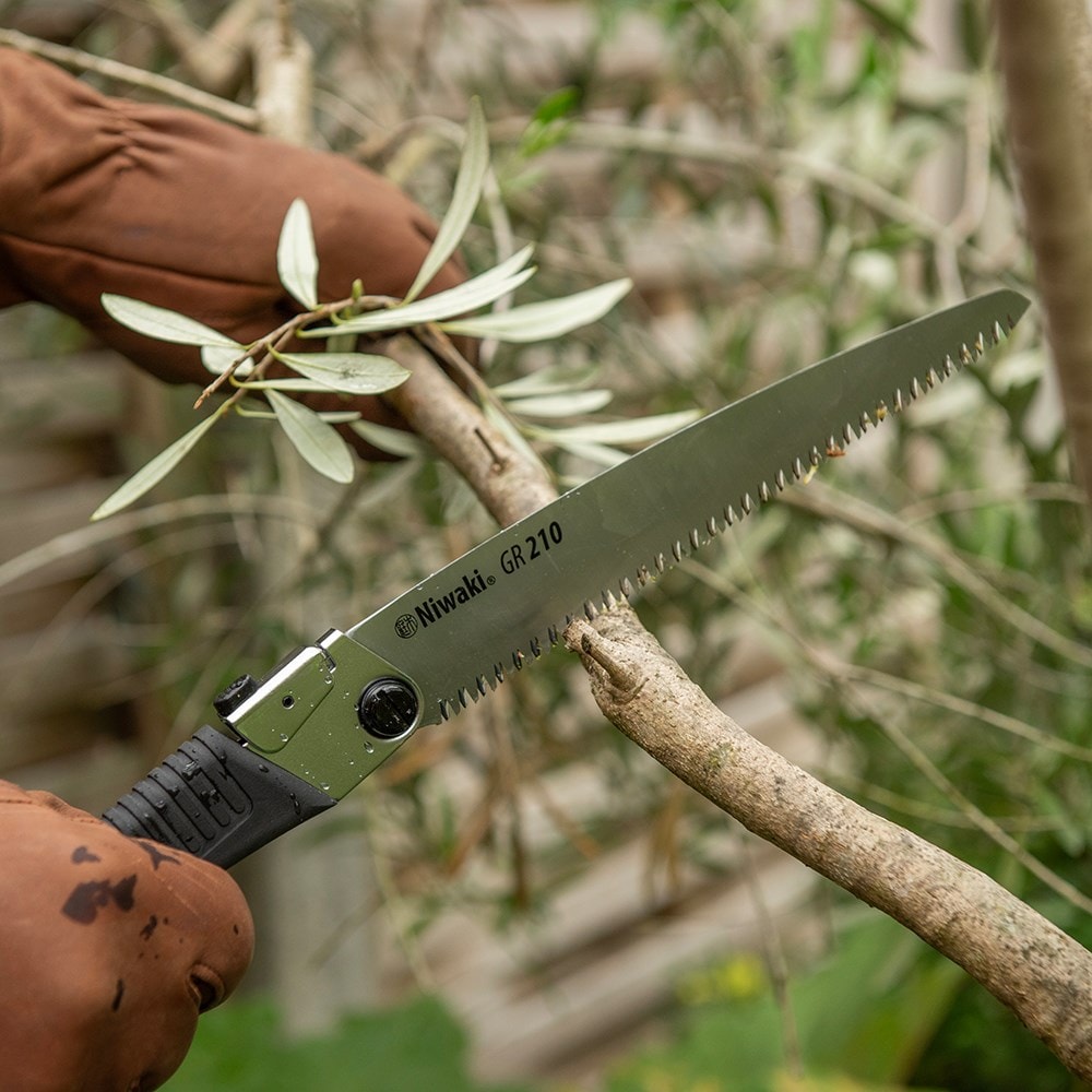 Product options image