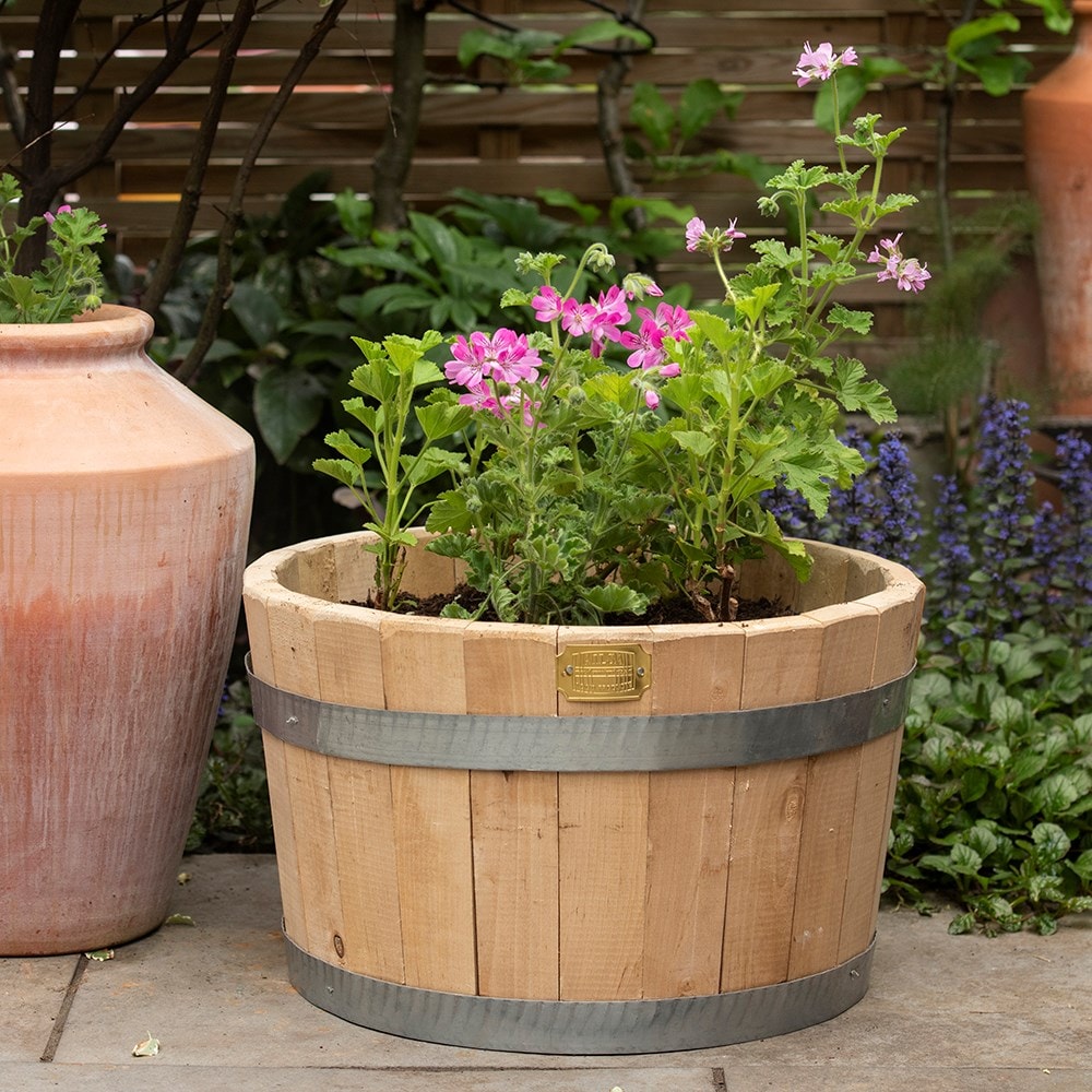 Hardwood barrel planter - multiple sizes