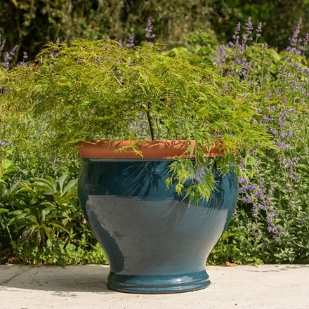 Dark teal extra large bellied planter