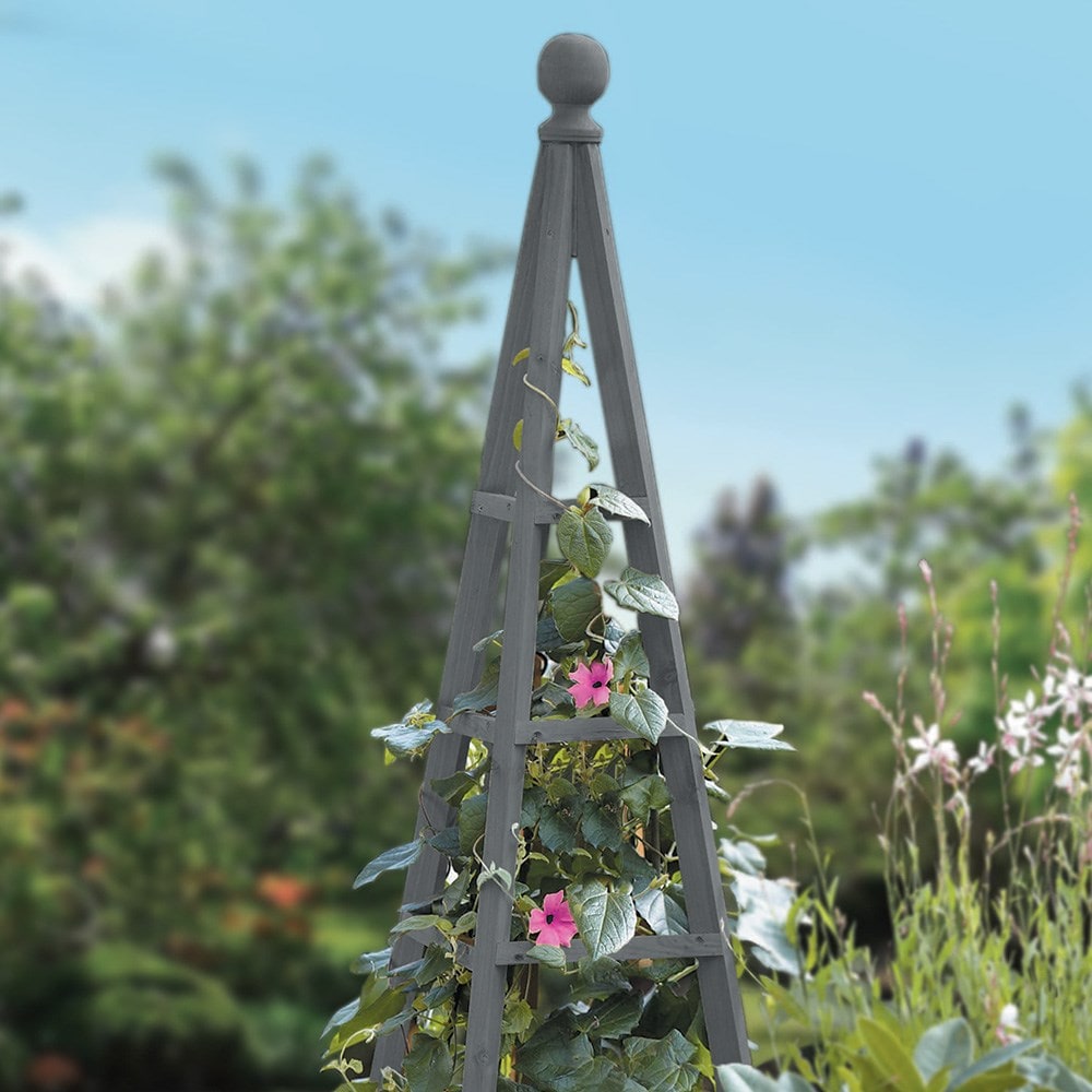 Product options image