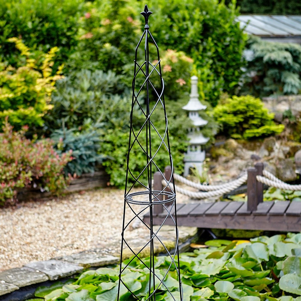 Product options image