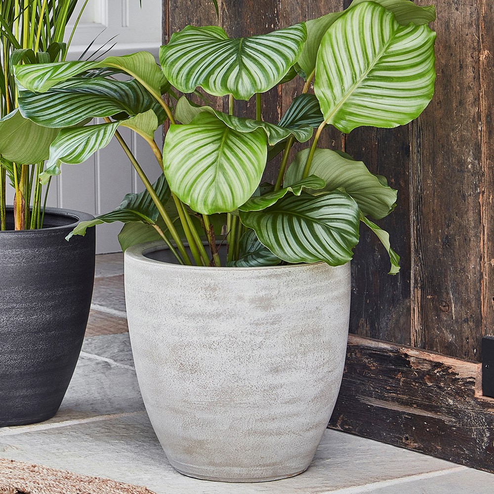 Indoor plant pots deals uk