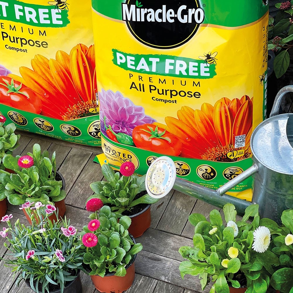 Miracle gro - peat-free premium all purpose compost 