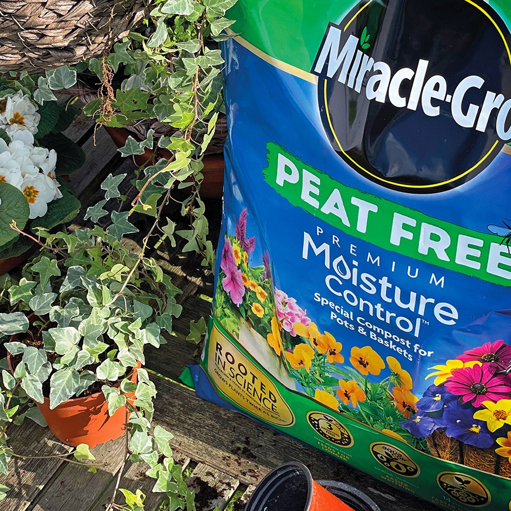 Miracle gro peat-free premium moisture control