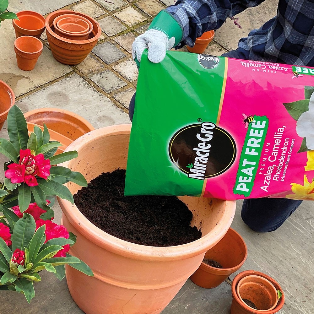 Miracle gro peat-free premium ericaceous compost