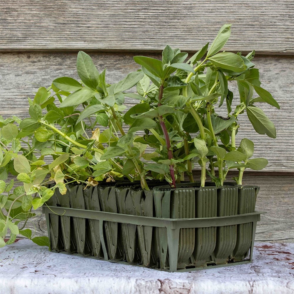 Product options image