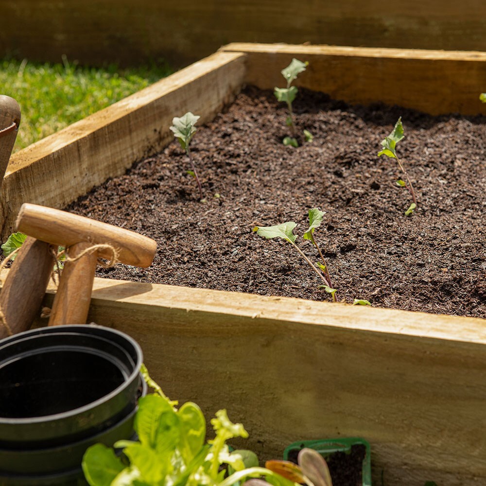 Caledonian compact raised bed
