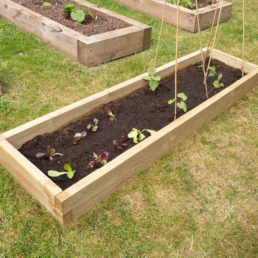 Caledonian long raised bed