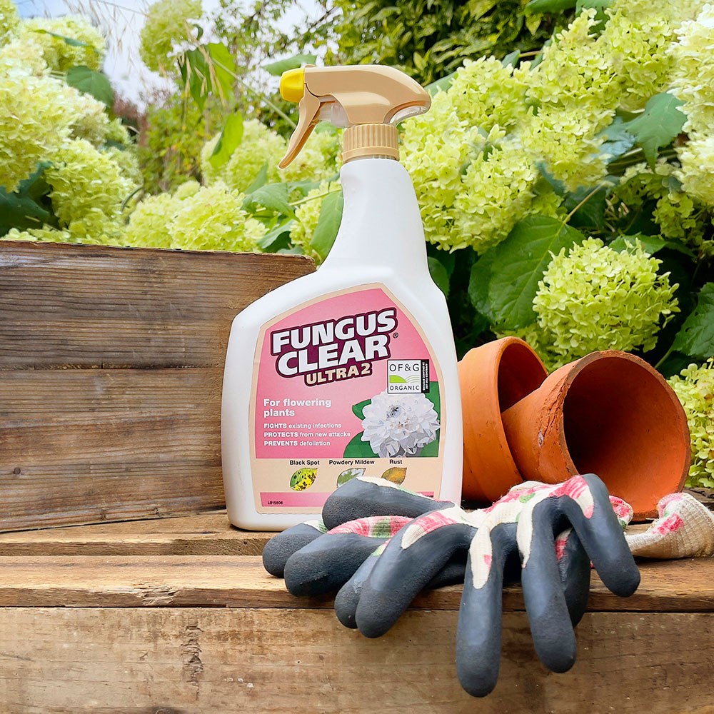 Fungus clear ultra 2