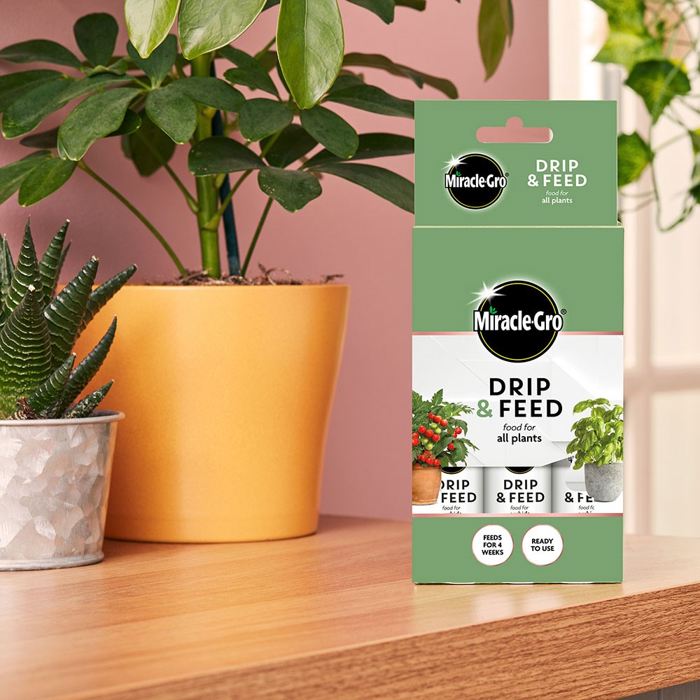 Miracle gro drip and feed all purpose
