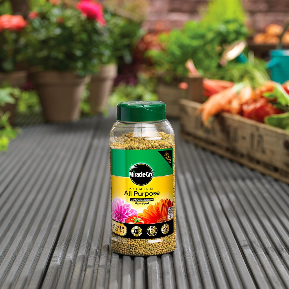 Product options image