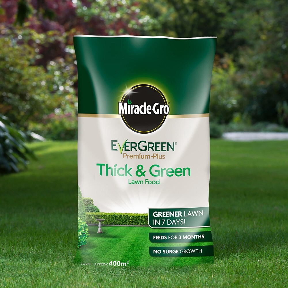 Evergreen lawn online feed