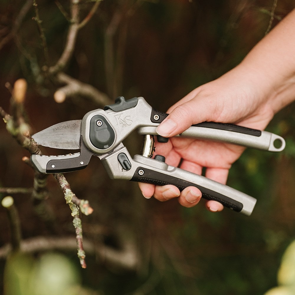 Product options image