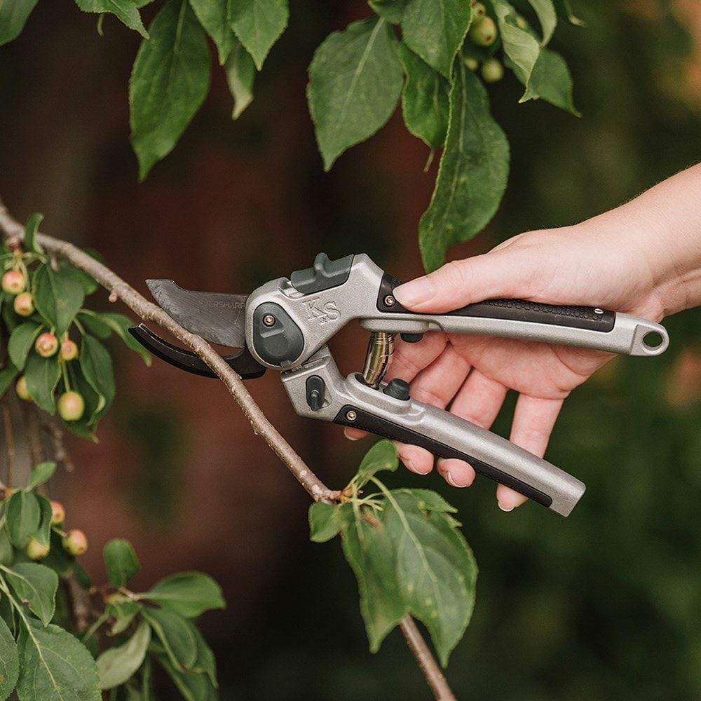 Eversharp bypass secateurs