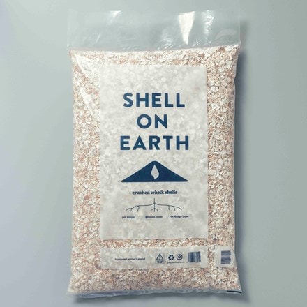 Shell on Earth crushed whelk shells