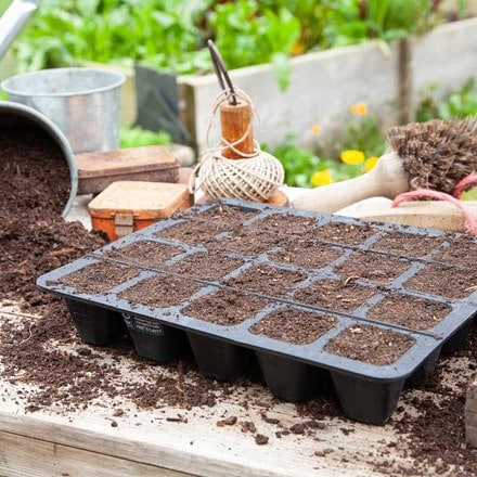 Natural rubber seed tray - 20 cell