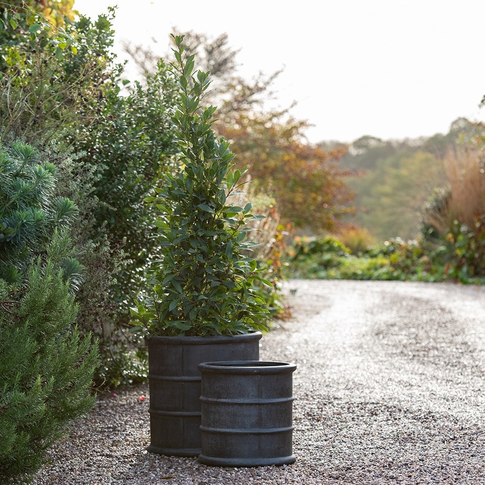 Greystoke barrel planter