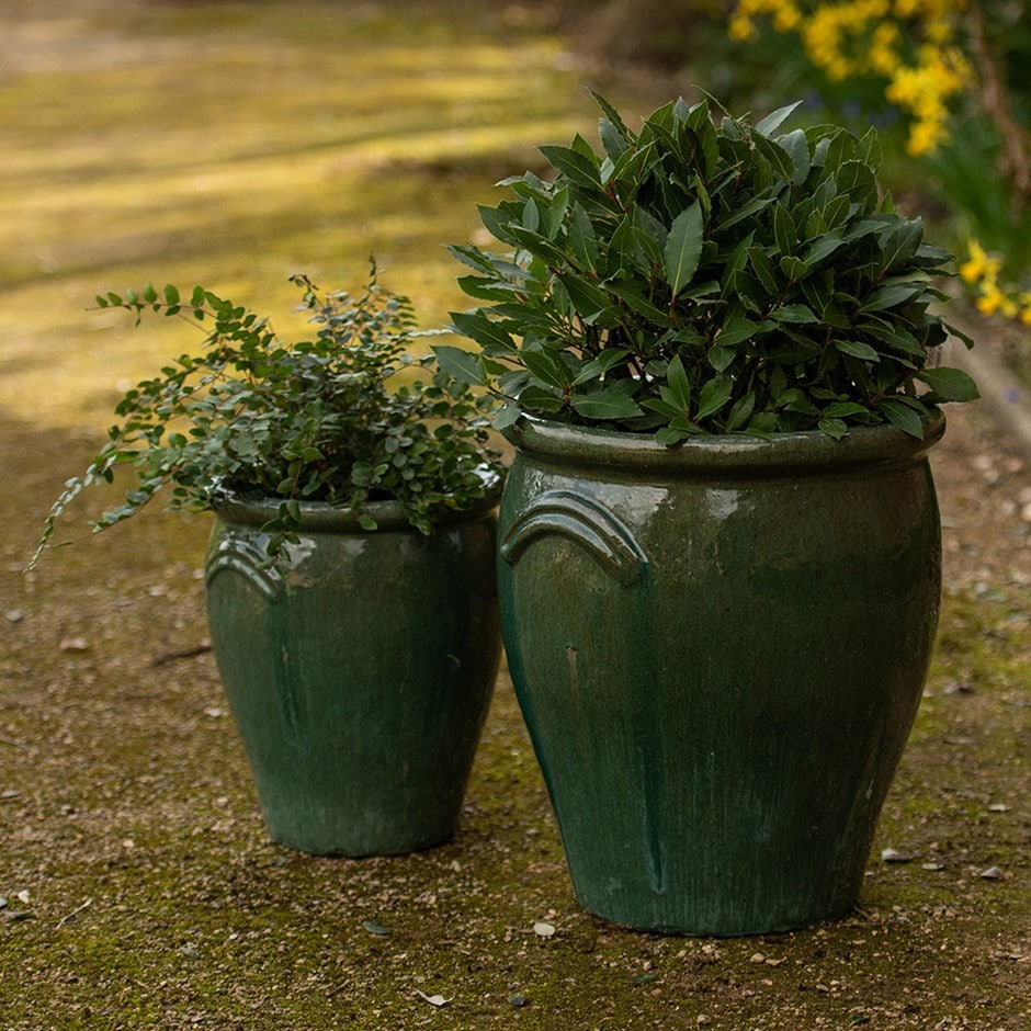 Glazed terracotta tulip pot - misty green
