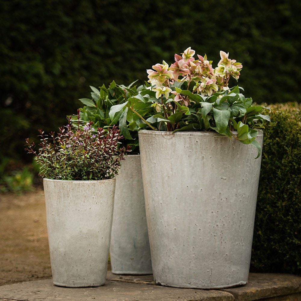 Product options image