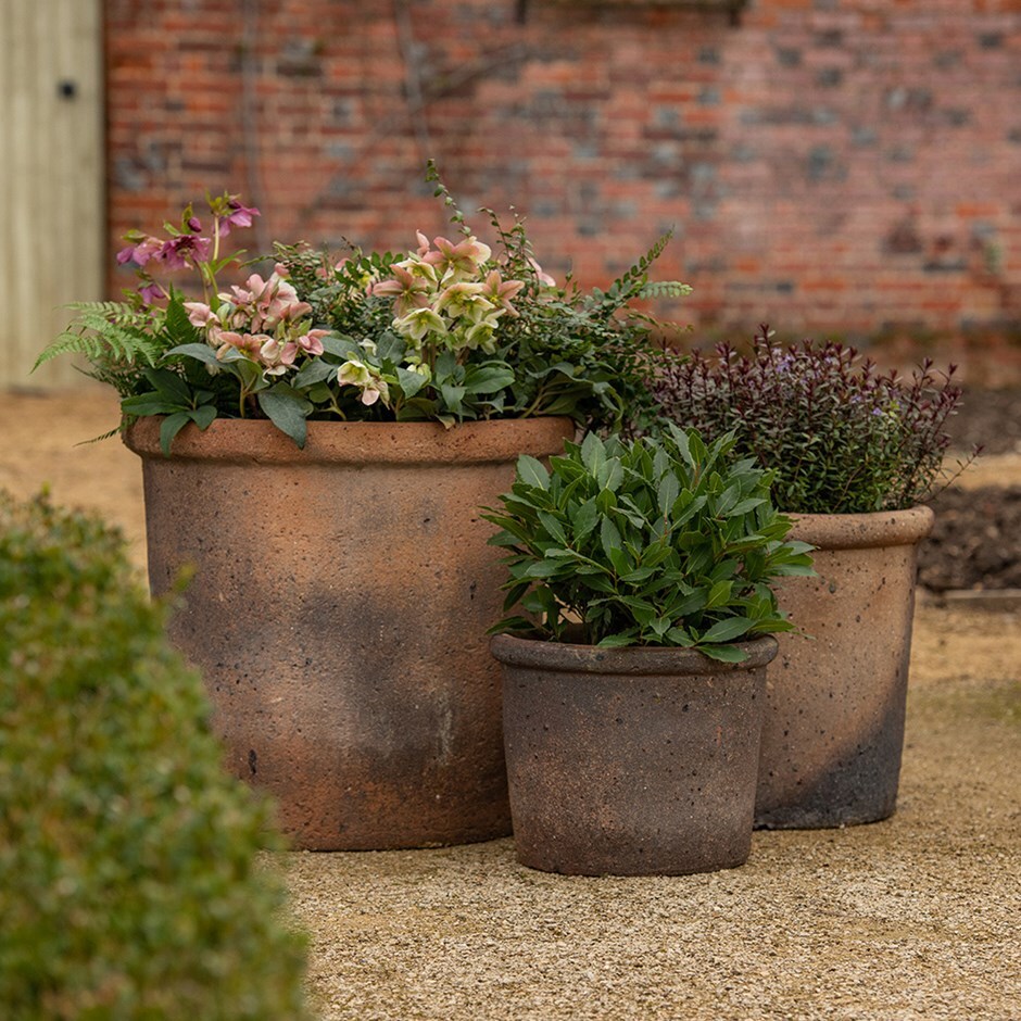 Buy Clay Pot With Top Rim Delivery By Crocus Buy Clay Pot With Top Rim Delivery By Crocus