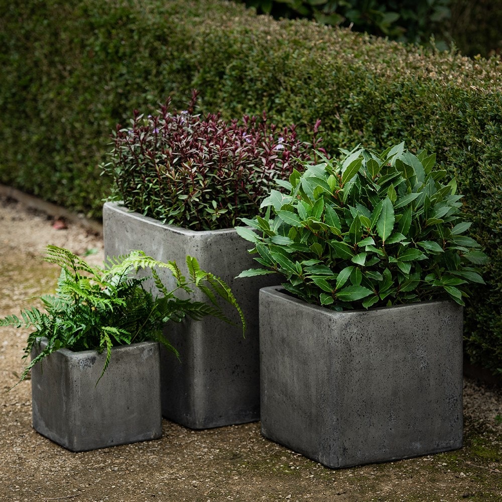 Product options image