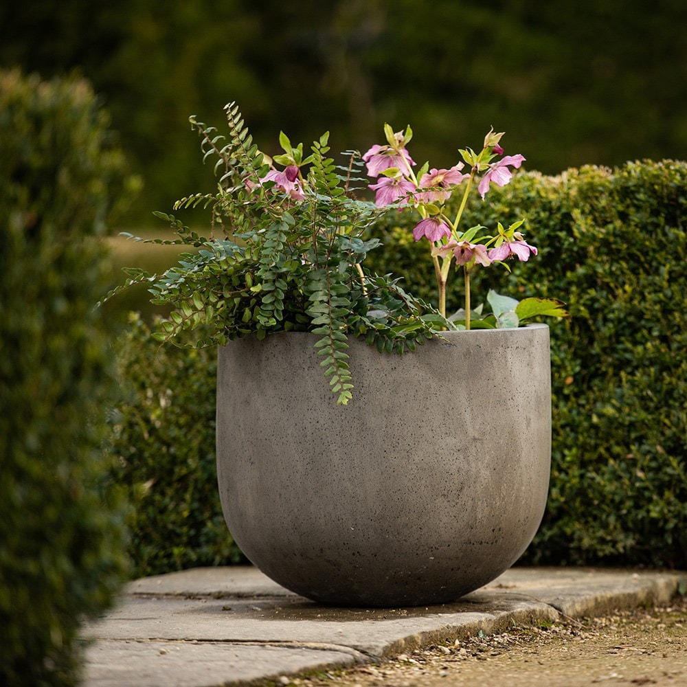 Product options image