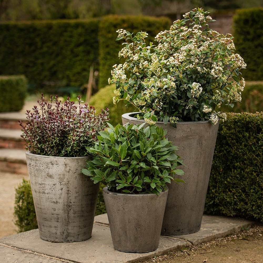 Product options image