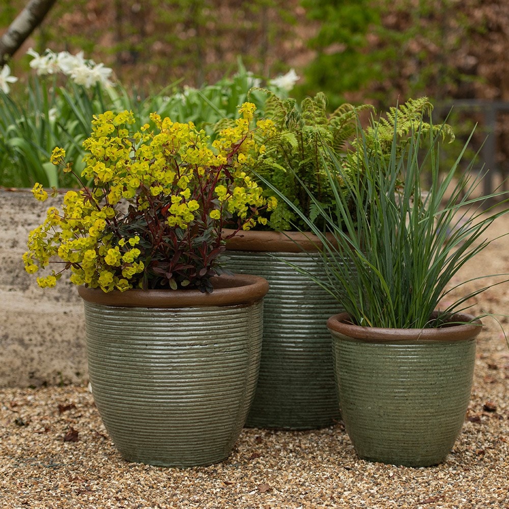 Outdoor planted outlet pots delivered