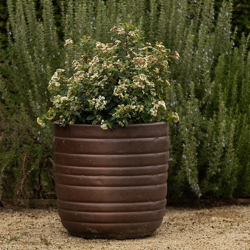 Product options image