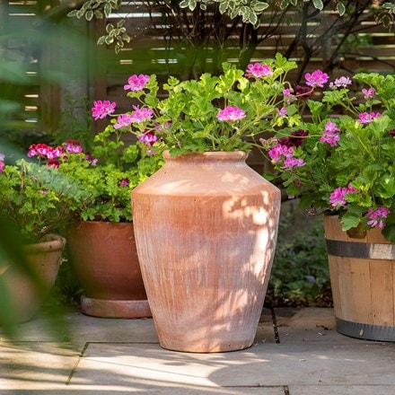 Terracotta pelargonium/geranium pot - small