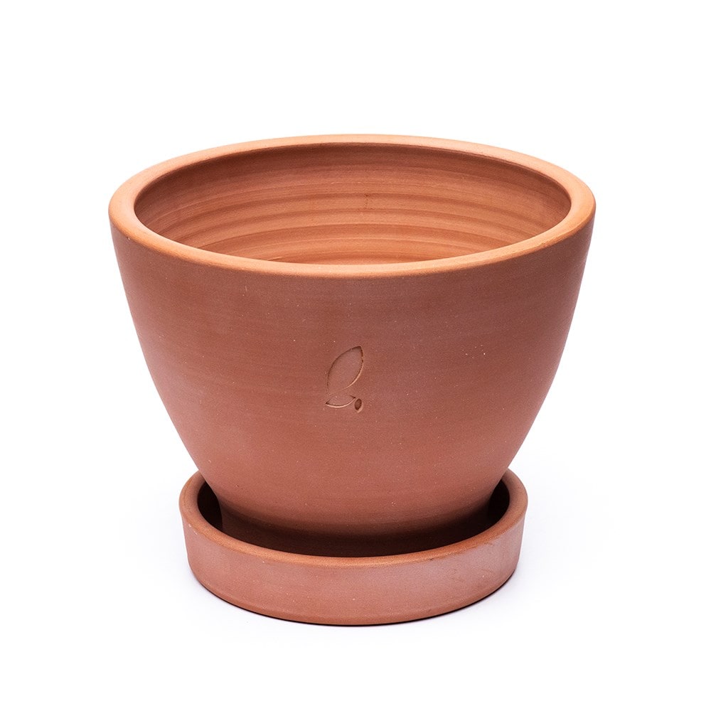 Terracotta herb pot and saucer - large