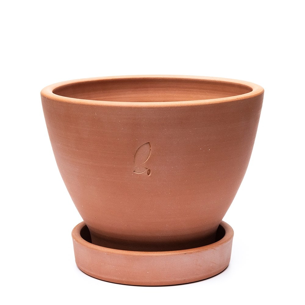 Terracotta herb pot and saucer - small