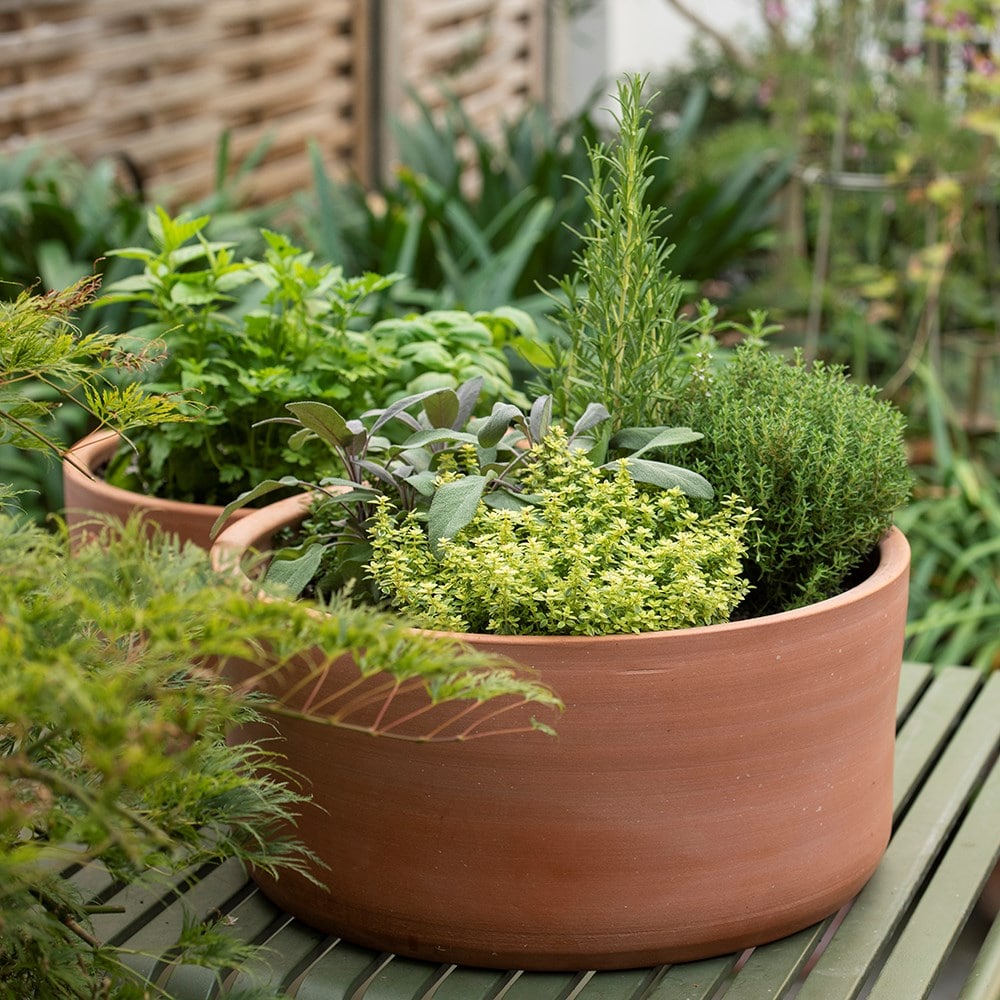 Terracotta herb bowl - large