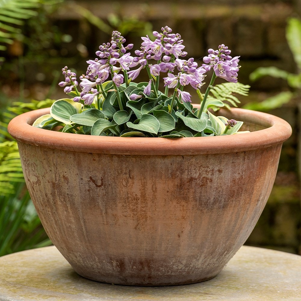 Product options image