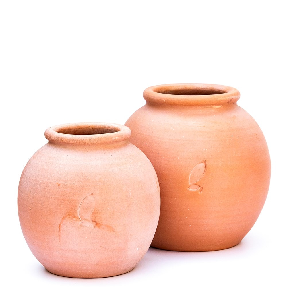 Terracotta Erigeron pot - large