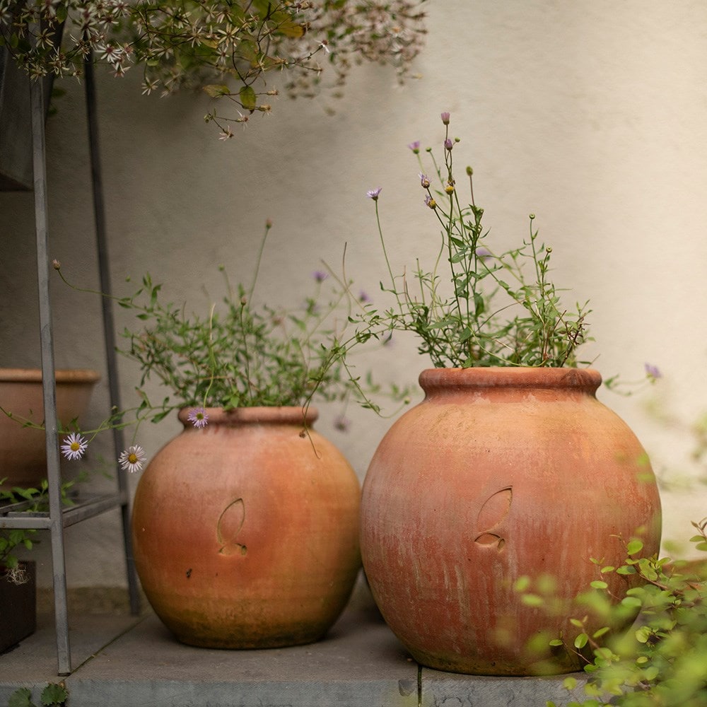 Small terracotta online pots