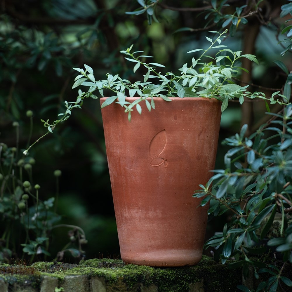 Product options image