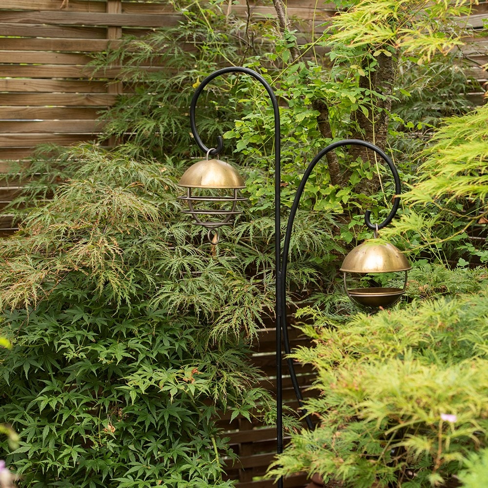 Product options image