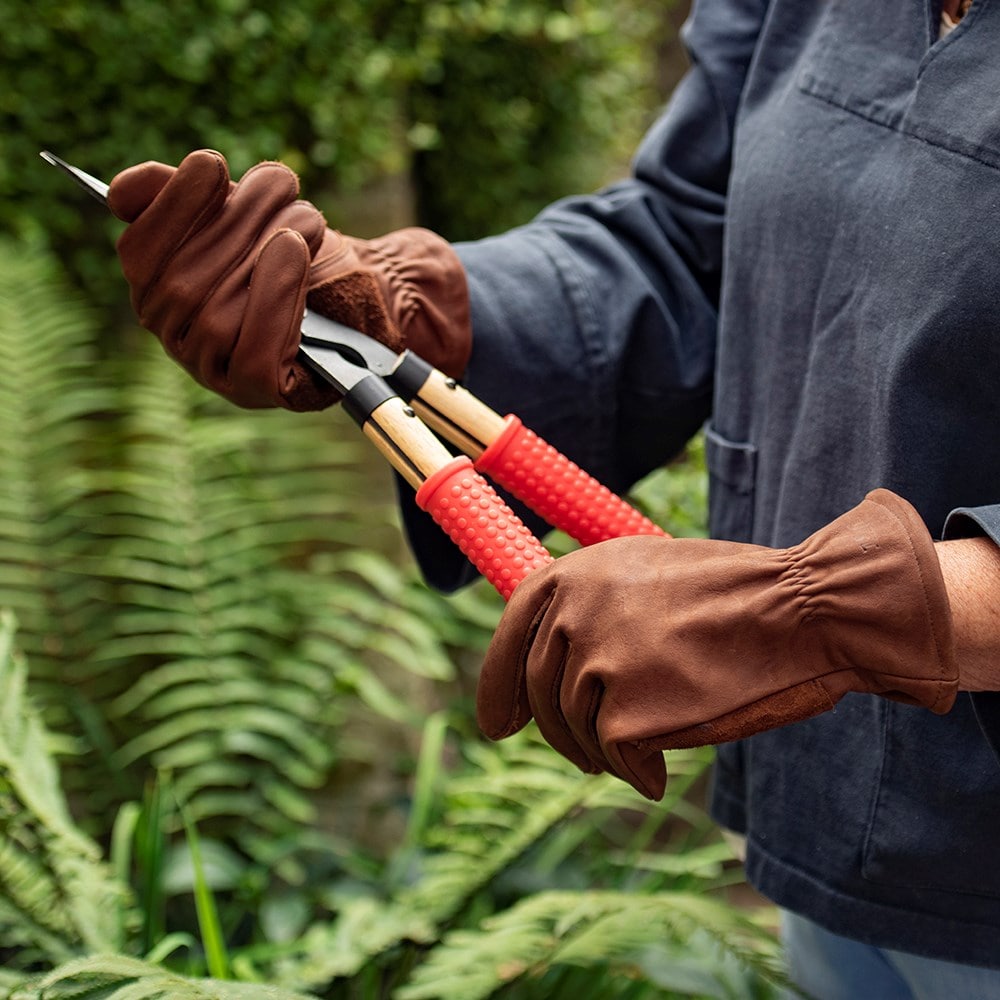 Product options image