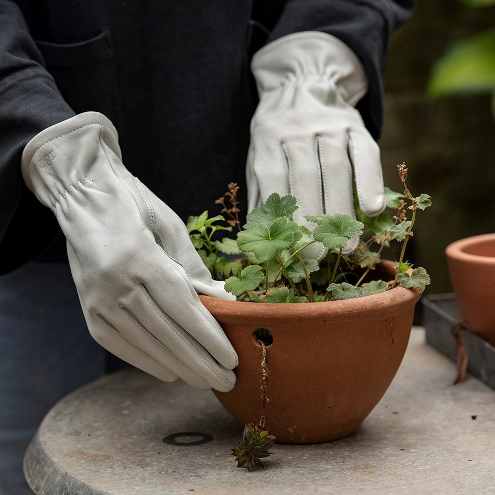 Leather gardening gloves - pearl